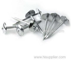 Umbrella Roofing Nails stainless steel roofing nails Concrete Nail distributor wholesale Common Nails