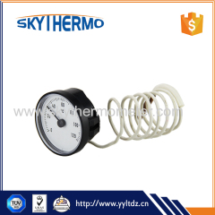 Indoor User-friendly custom dial capillary thermometer 0-120C for boiler