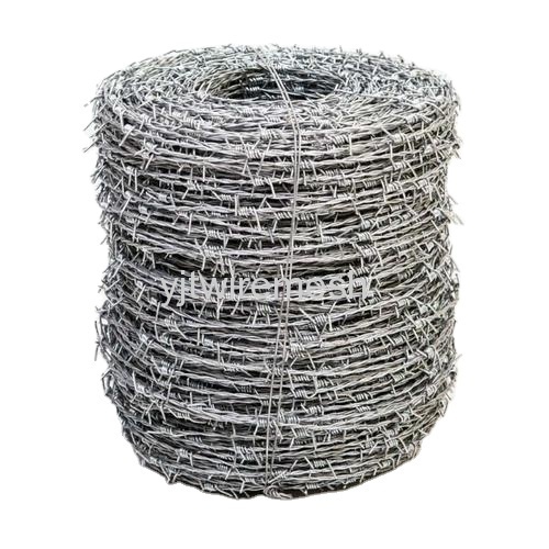 Barbed Wire Galvanized Product
