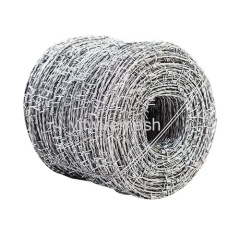 Barbed Wire Galvanized Product