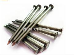 Common Wire Nails Product