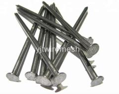 Common Wire Nails Product