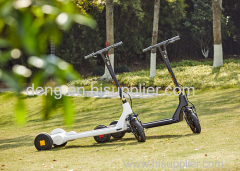 Folding multifunctional sports scooter