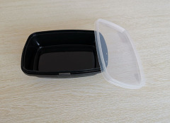 Custom disposable plastic tray