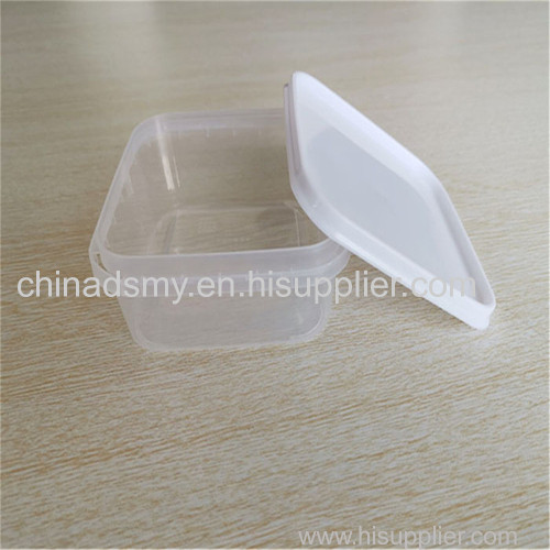 Disposable PP plastic packing box