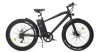 250w Power Electric Bike