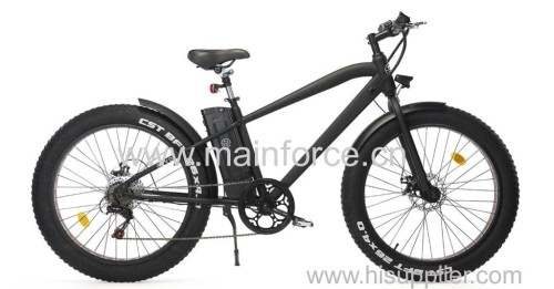 250w Power Electric Bike