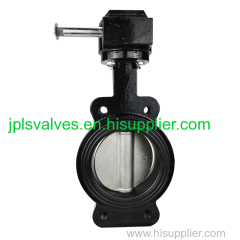 Semi-lug marine butterfly valves