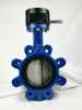 Gear Operated Ductile Iron Lug-type Butterfly Valve