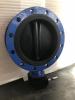 Gear Operated Fully Rubber Lined Flange Butterfly Valve