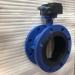 Gear Operated Nylon coated Disc Flanged concentric Butterfly Valves