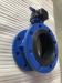 Gear Operated Nylon coated Disc Flanged concentric Butterfly Valves