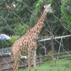 Zoo Animal Enclosure Cable Mesh