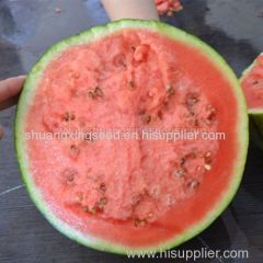 Planting hybrid F1 gift types watermelon seed