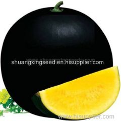 Black girl 2 Chinese yellow flesh watermelon seeds for planting