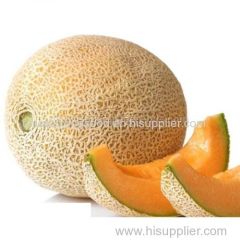 Extremely Early mature hybrid round melon seeds