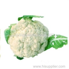 Asian vegetable seeds cauliflower hybrid seed