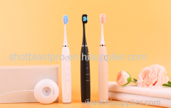 The Adult Electric Toothbrush