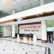 Foshan Biaolong Decorative Material Co., Ltd