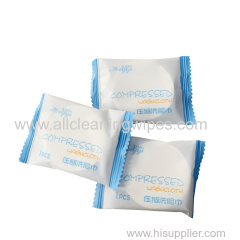 Biodegradable Disposable Compressed Towel