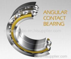 Double Row Angular Contact Ball Bearing