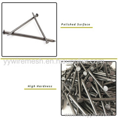 Common Nails/Iron Wire Nails