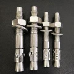 Stainless Steel Wedge Anchor Bolts