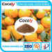 NPK Water Soluble Fertilizer Manufacturer Cocoly Brand