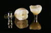 Dental implant crown & integrated abutment crown IAC & implant prosthesis