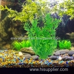 Fish Tank Plastic Plants: Oplismenus Compositus