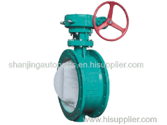 Double Offset Butterfly Valve