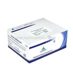 Influenza A_B Antigen Testing Kit (Colloidal Gold)