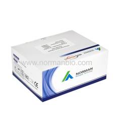 Influenza A_B Antigen Testing Kit (Colloidal Gold)