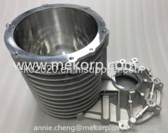 Automotive Electric Drive Housing