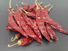 China new crop paprika pods