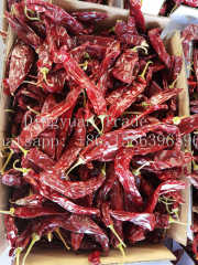 China new crop paprika pods
