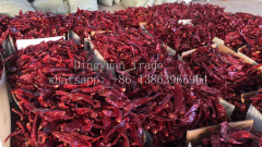 China new crop paprika pods