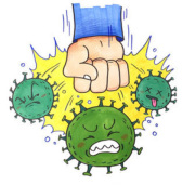 Preventing novel coronaviruses