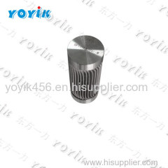 stator cooling water filter