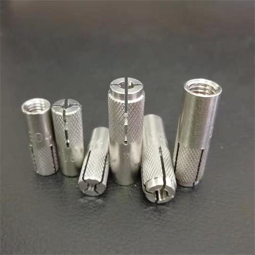 Stainless Steel Drop In Anchors