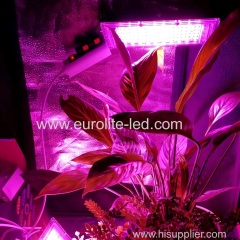 LED Grow Light AC220V 50W LED Full Spectrum Phyto Lamp Greenhouse Hydroponic Plant Growth Lighting