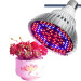 Led Grow Light E27 Bulb Full Spectrum Plant Light Par38 Bulb for Indoor Plants Greenhouse Succulent Flower Light