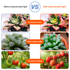 Full Spectrum LED Grow Lamp Strip