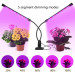 USB Phyto Lamp Full Spectrum Fitolampy With Control For Plants Seedlings Flower Indoor Fitolamp Grow Box