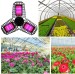 LED Grow Light for Indoor Plan Grow Lamp Full Spectrum Plant Light Foldable LED Grow Light Bulb 144pcs LEDs