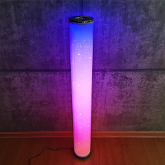 Floor Standing LED Music Sync Hue Light