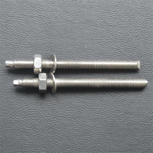 Stainless Steel Chemical Anchors