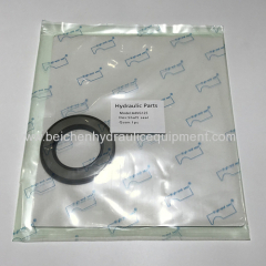 Rexroth A4VG125 hydraulic pump seal kit replacement