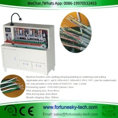 Semi-Automatic H05VV-F Corewire Stripping Tinning Machine