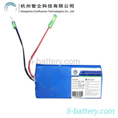 Li-ion Battery for Electric Scooter (Glow)